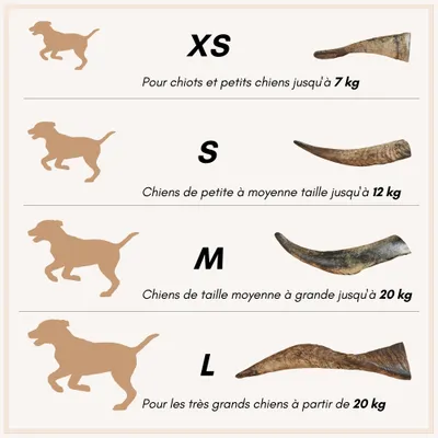 Supravit Corne de Mouton – Friandise à mâcher naturelle pour chien Supravit Corne de Mouton – Friandise à mâcher naturelle pour chien