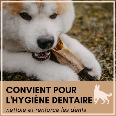 Supravit Corne de Mouton – Friandise à mâcher naturelle pour chien