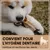 Supravit Corne de Mouton – Friandise à mâcher naturelle pour chien Supravit Corne de Mouton – Friandise à mâcher naturelle pour chien