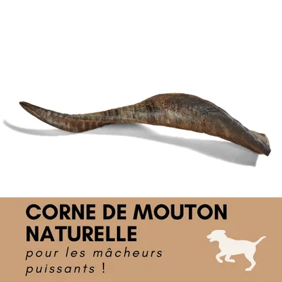 Supravit Corne de Mouton – Friandise à mâcher naturelle pour chien