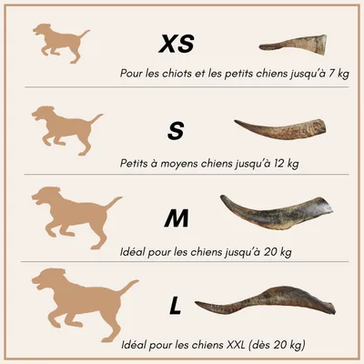 Supravit Corne de Mouton – Friandise à mâcher naturelle pour chien