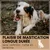 Supravit Corne de Mouton – Friandise à mâcher naturelle pour chien