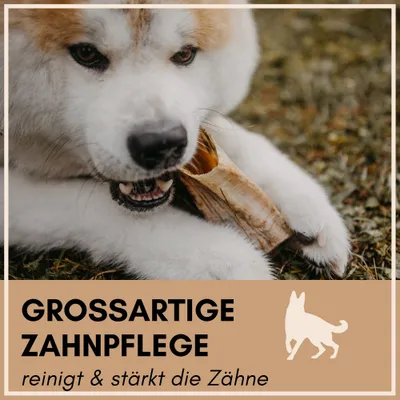 Supravit Natürliches Schafhorn - gesundes Kauhorn Kauspielzeug für Hunde