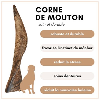 Supravit Corne de Mouton – Friandise à mâcher naturelle pour chien