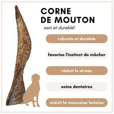 Supravit Corne de Mouton – Friandise à mâcher naturelle pour chien