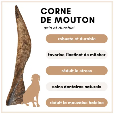 Supravit Corne de Mouton – Friandise à mâcher naturelle pour chien Supravit Corne de Mouton – Friandise à mâcher naturelle pour chien