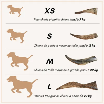 Supravit Corne de Mouton – Friandise à mâcher naturelle pour chien Supravit Corne de Mouton – Friandise à mâcher naturelle pour chien