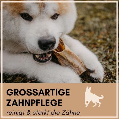 Supravit Natürliches Schafhorn - gesundes Kauhorn Kauspielzeug für Hunde