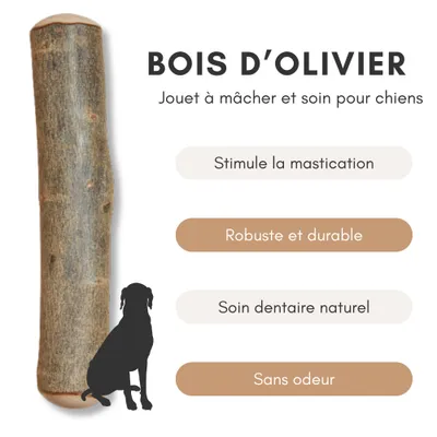 Supravit Bois d’Olivier – Jouet à mâcher pour chien