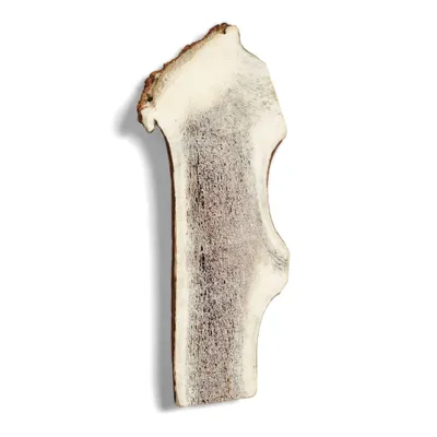 Supravit Bois de Cerf Fendu – Mâche naturelle pour chien Supravit Bois de Cerf Fendu – Mâche naturelle pour chien