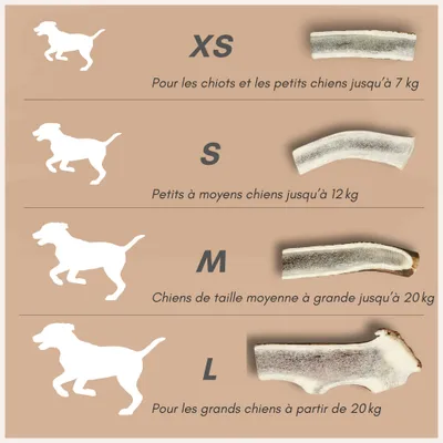 Supravit Bois de Cerf Fendu – Mâche naturelle pour chien