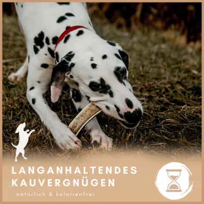 Supravit Gespaltenes Hirschgeweih für Hunde | 100% Rothirsch-Geweih