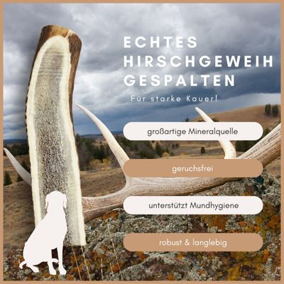 Supravit Gespaltenes Hirschgeweih für Hunde - Rothirsch-Geweih Kauknochen