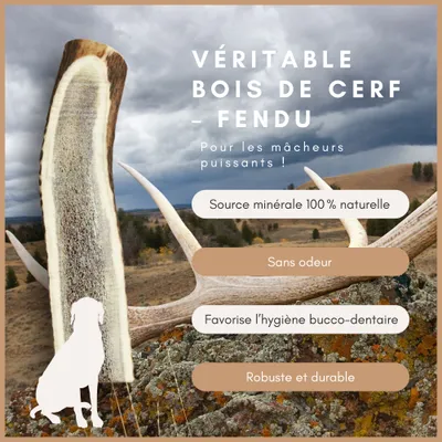 Supravit Bois de Cerf Fendu – Mâche naturelle pour chien