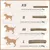 Supravit Bois d’Olivier – Jouet à mâcher pour chien Supravit Bois d’Olivier – Jouet à mâcher pour chien