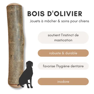 Supravit Bois d’Olivier – Jouet à mâcher pour chien