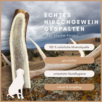Supravit Gespaltenes Hirschgeweih für Hunde - Rothirsch-Geweih Kauknochen