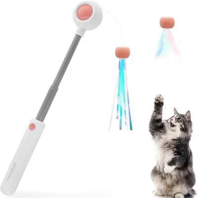 IntiMeg Teaser de chat IntiMeg Teaser de chat