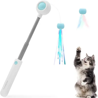 IntiMeg Teaser de chat