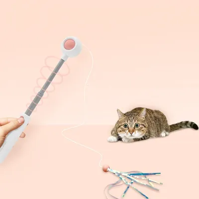 IntiMeg Canne à pêche pour chat