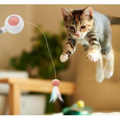 IntiMeg Teaser de chat