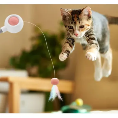 IntiMeg Canne à pêche pour chat