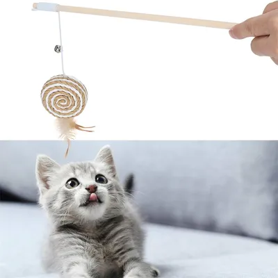 IntiMeg Bâton interactif pour chat