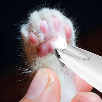 ZenPets Tondeuse à pieds rechargeable