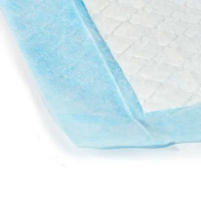 WELLHOME 10 unités de serviettes jetables avec adhésif super absorbant WELLHOME 10 unités de serviettes jetables avec adhésif super absorbant