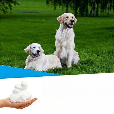 IntiMeg Boule de bain pour animaux de compagnie