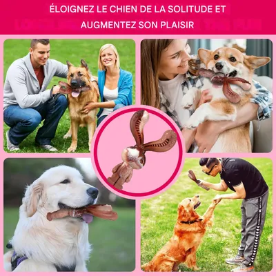 IntiMeg Jouet de mâche pour chien