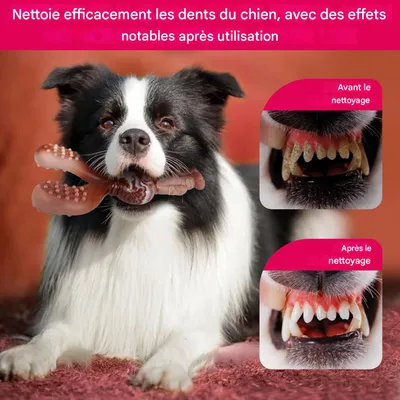 IntiMeg Jouet de mâche pour chien