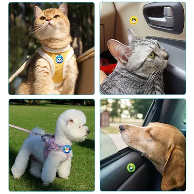 IntiMeg Soothing Cat Sticker