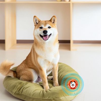 IntiMeg Soothing Cat Sticker