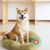 IntiMeg Soothing Cat Sticker