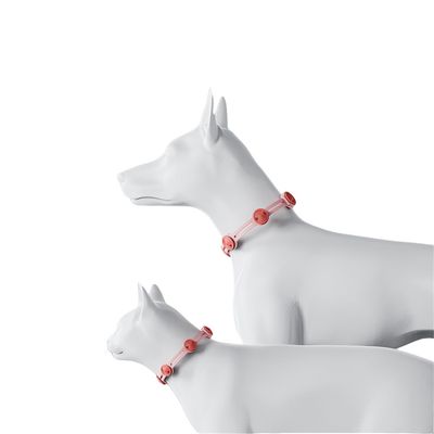 IntiMeg Collier anti-parasites pour chats et chiens