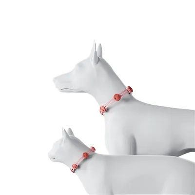 IntiMeg Collar antiparasitario para gatos y perros