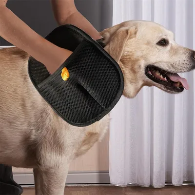 IntiMeg Gant de toilettage pour chat