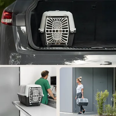 lionto caisse chien plastique recyclé avec poignée et verrouillage