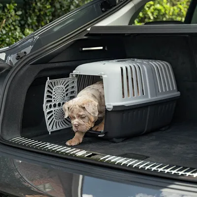 lionto caisse chien plastique recyclé avec poignée et verrouillage