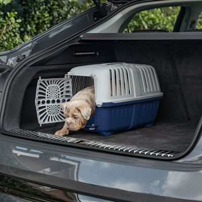 lionto caisse chien plastique avec poignée et verrouillage
