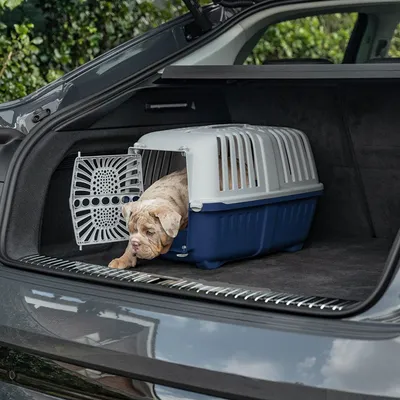 lionto caisse chien plastique recyclé avec poignée et verrouillage