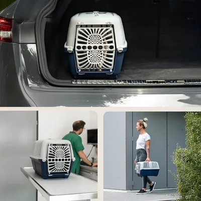 lionto caisse chien plastique recyclé avec poignée et verrouillage