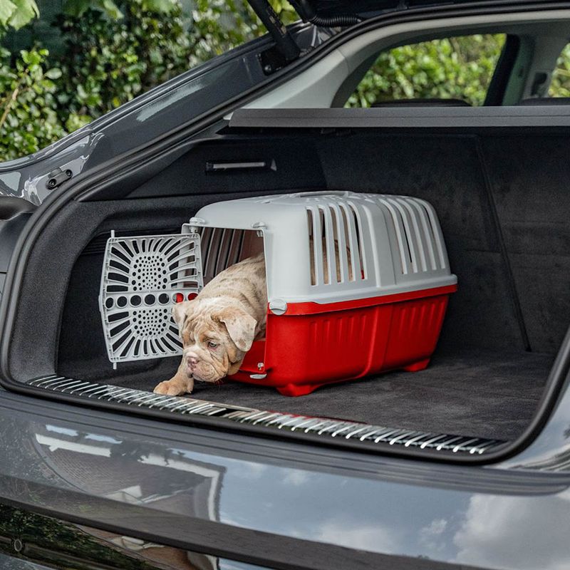 lionto caisse chien plastique recyclé avec poignée et verrouillage