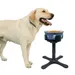 ZenPets Soporte para comedero de perro de altura regulable
