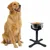ZenPets Support de bol pour chien réglable en hauteur