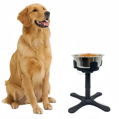 ZenPets Support de bol pour chien réglable en hauteur