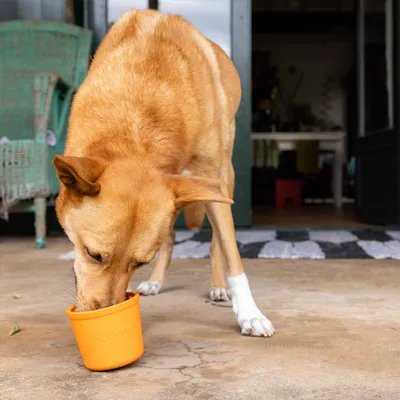 Lickimat Yoggie Pot - Jouet à remplir pour chiens