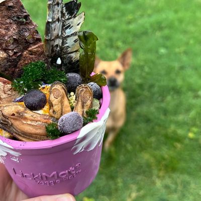 Lickimat Yoggie Pot - Jouet à remplir pour chiens