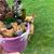 Lickimat Yoggie Pot - Jouet à remplir pour chiens
